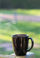 Green My Mug